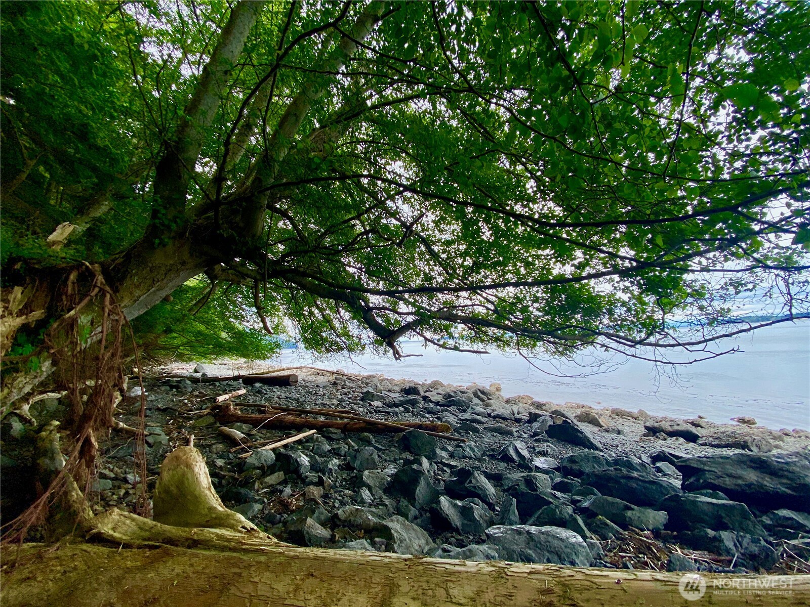 155 Dragonfly Drive , Orcas Island, WA 98279