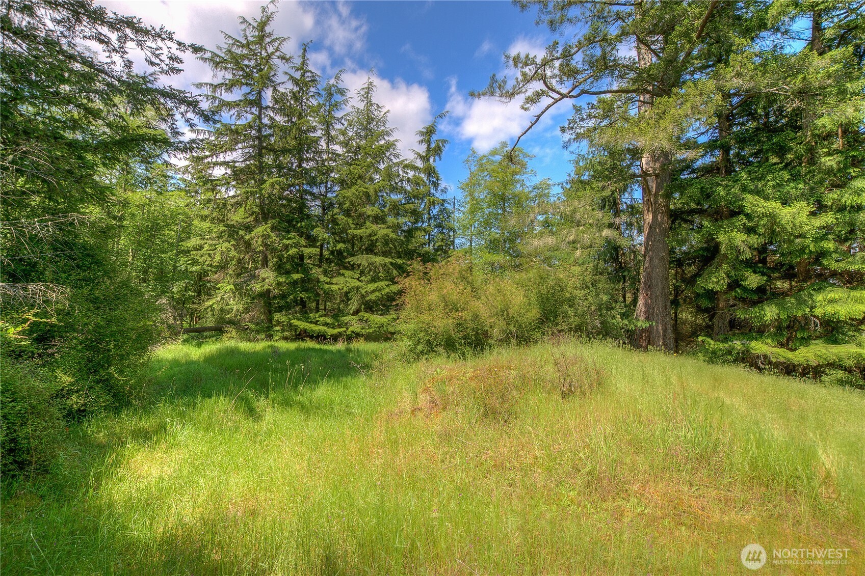 155 Dragonfly Drive , Orcas Island, WA 98279