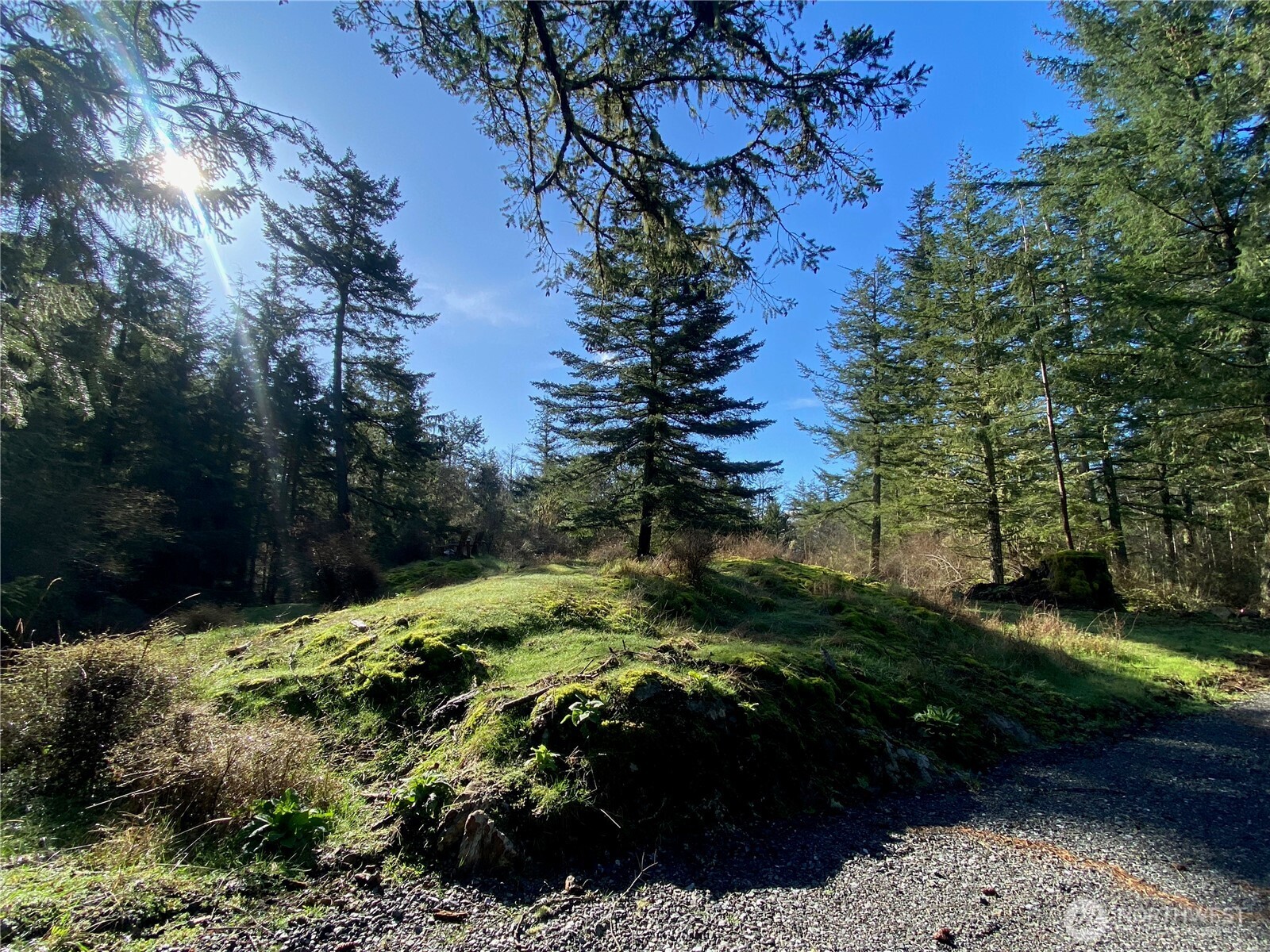 155 Dragonfly Drive , Orcas Island, WA 98279