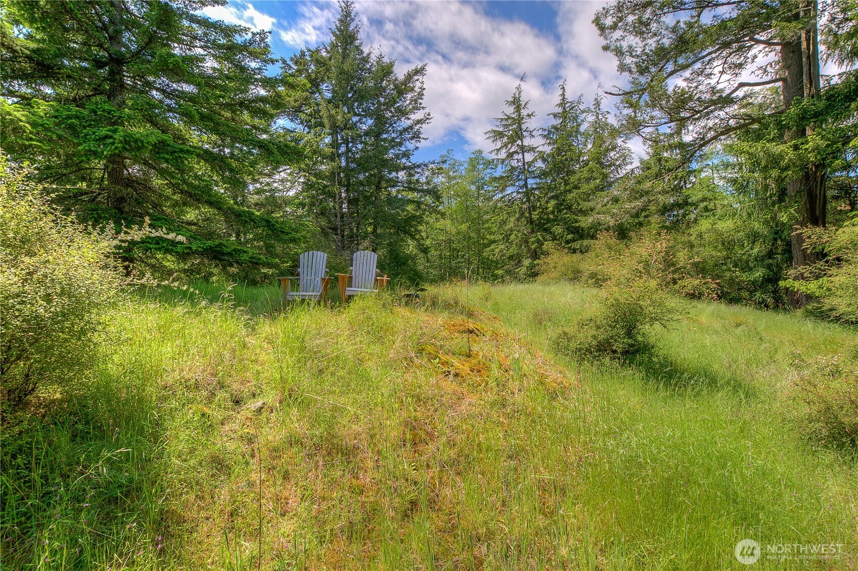 155 Dragonfly Drive , Orcas Island, WA 98279