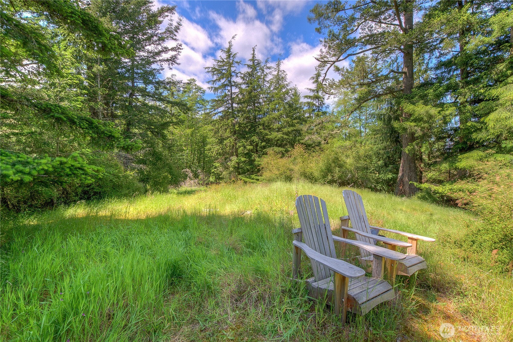 155 Dragonfly Drive , Orcas Island, WA 98279