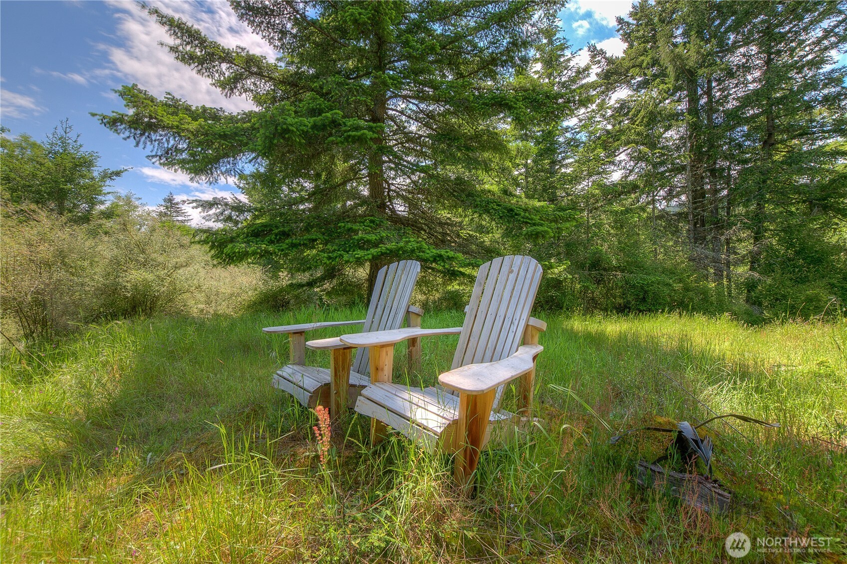 155 Dragonfly Drive , Orcas Island, WA 98279