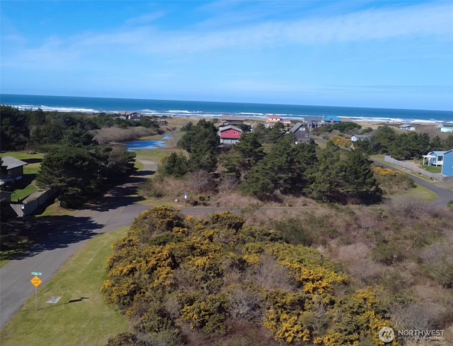 1 Francis Seamore Lane , Grayland, WA 98547