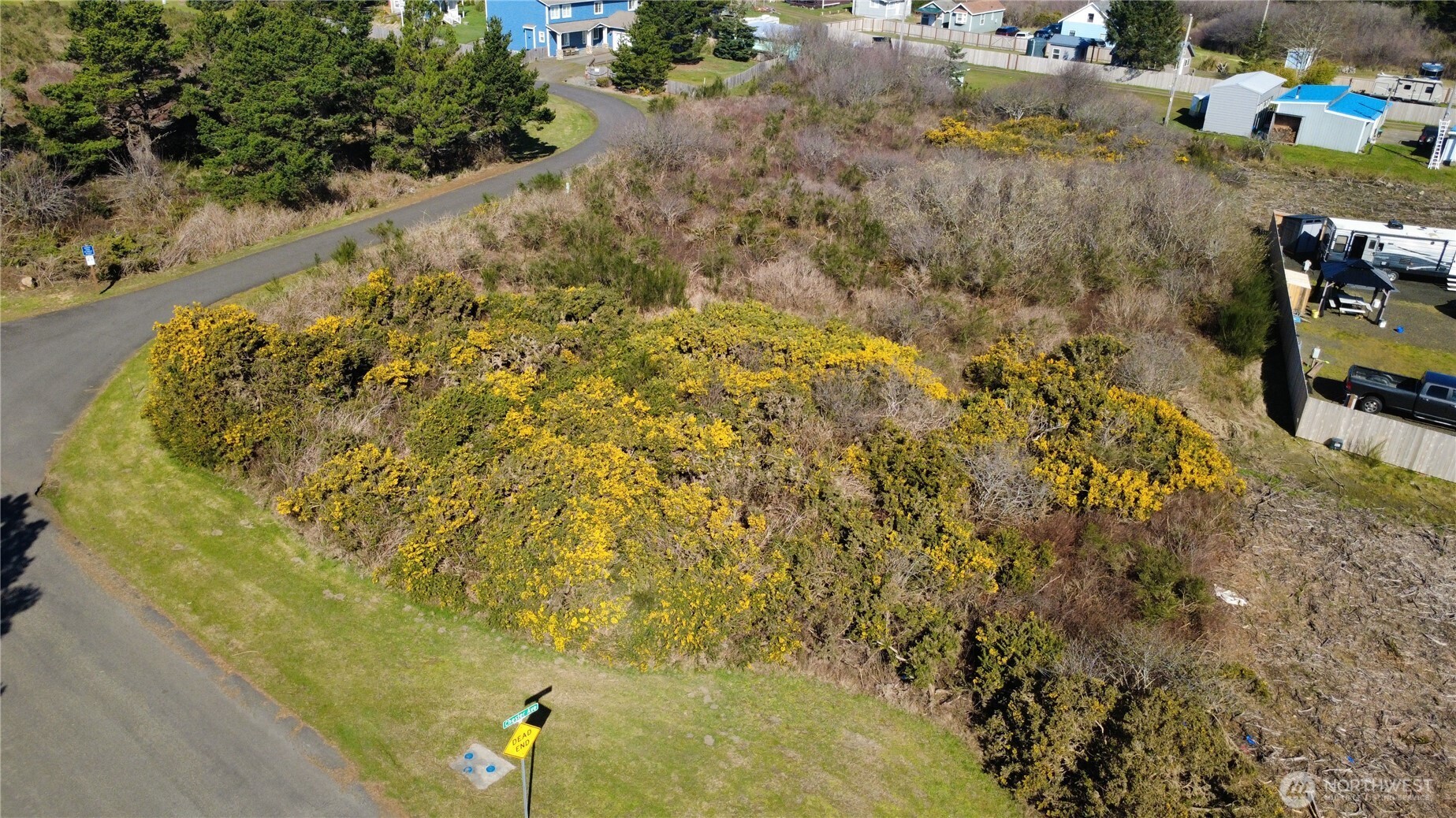 1 Francis Seamore Lane , Grayland, WA 98547