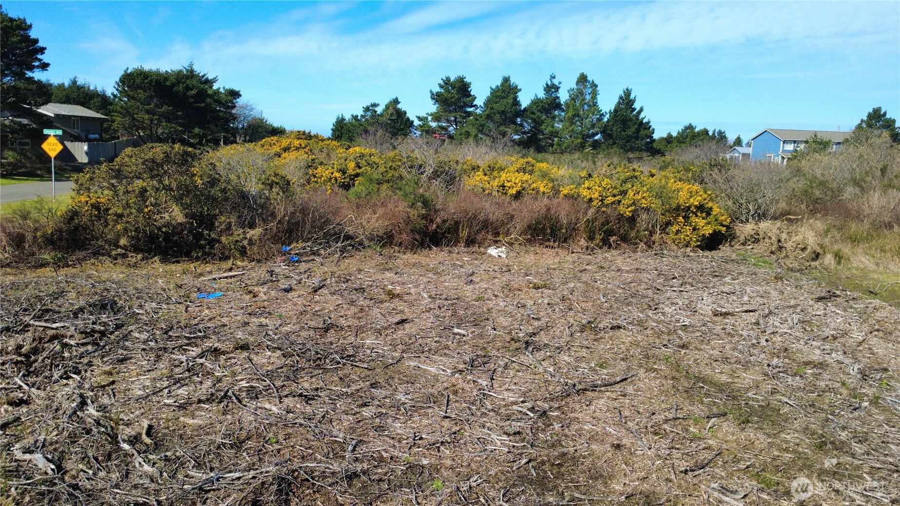 1 Francis Seamore Lane , Grayland, WA 98547