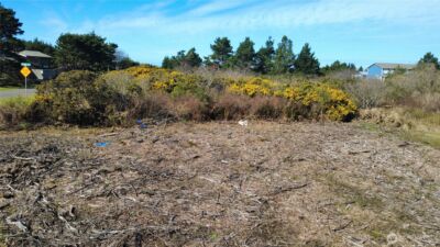 1 Francis Seamore Lane , Grayland, WA 98547 - Photo 11