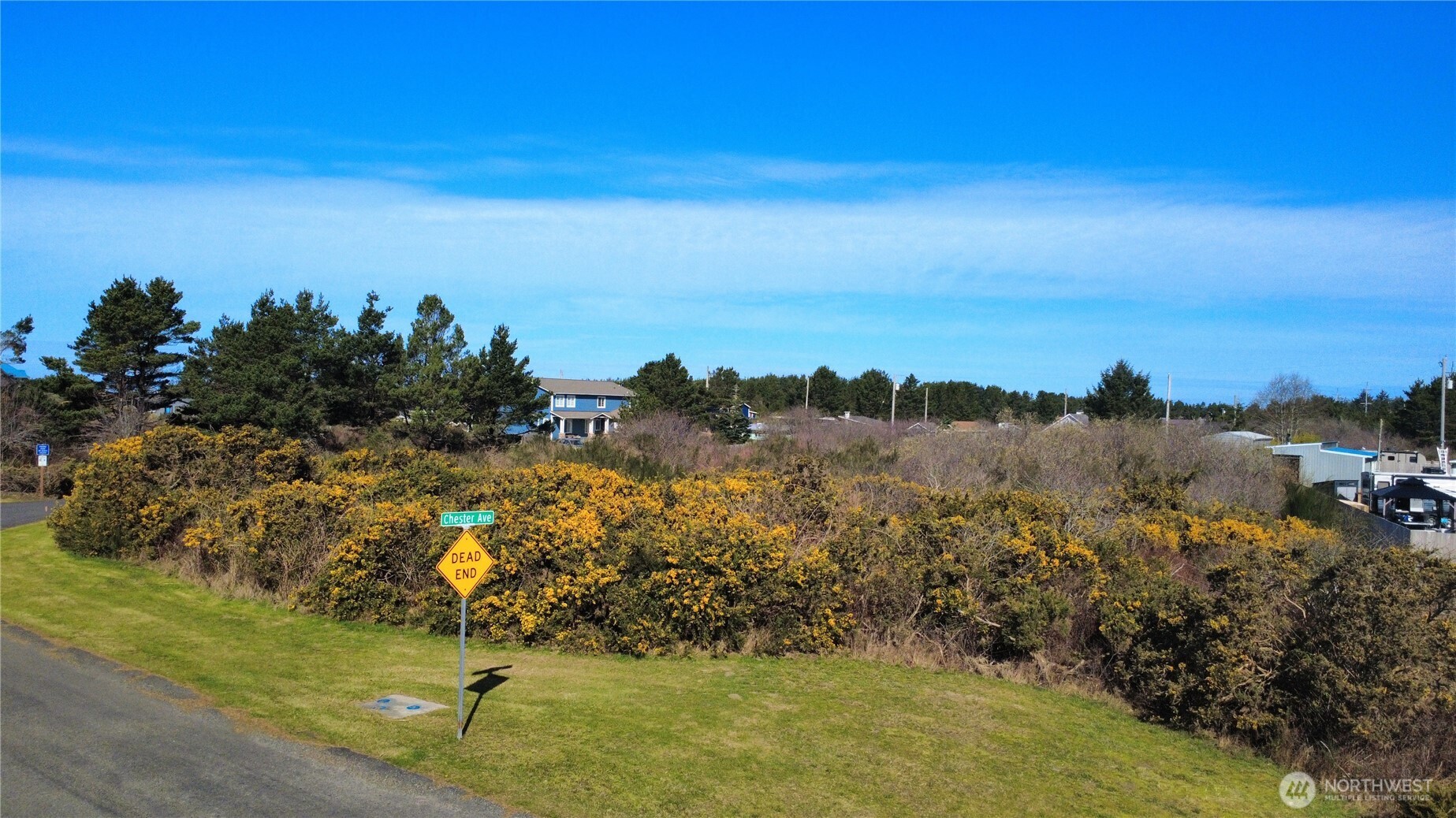 1 Francis Seamore Lane , Grayland, WA 98547