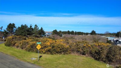 1 Francis Seamore Lane , Grayland, WA 98547 - Photo 3