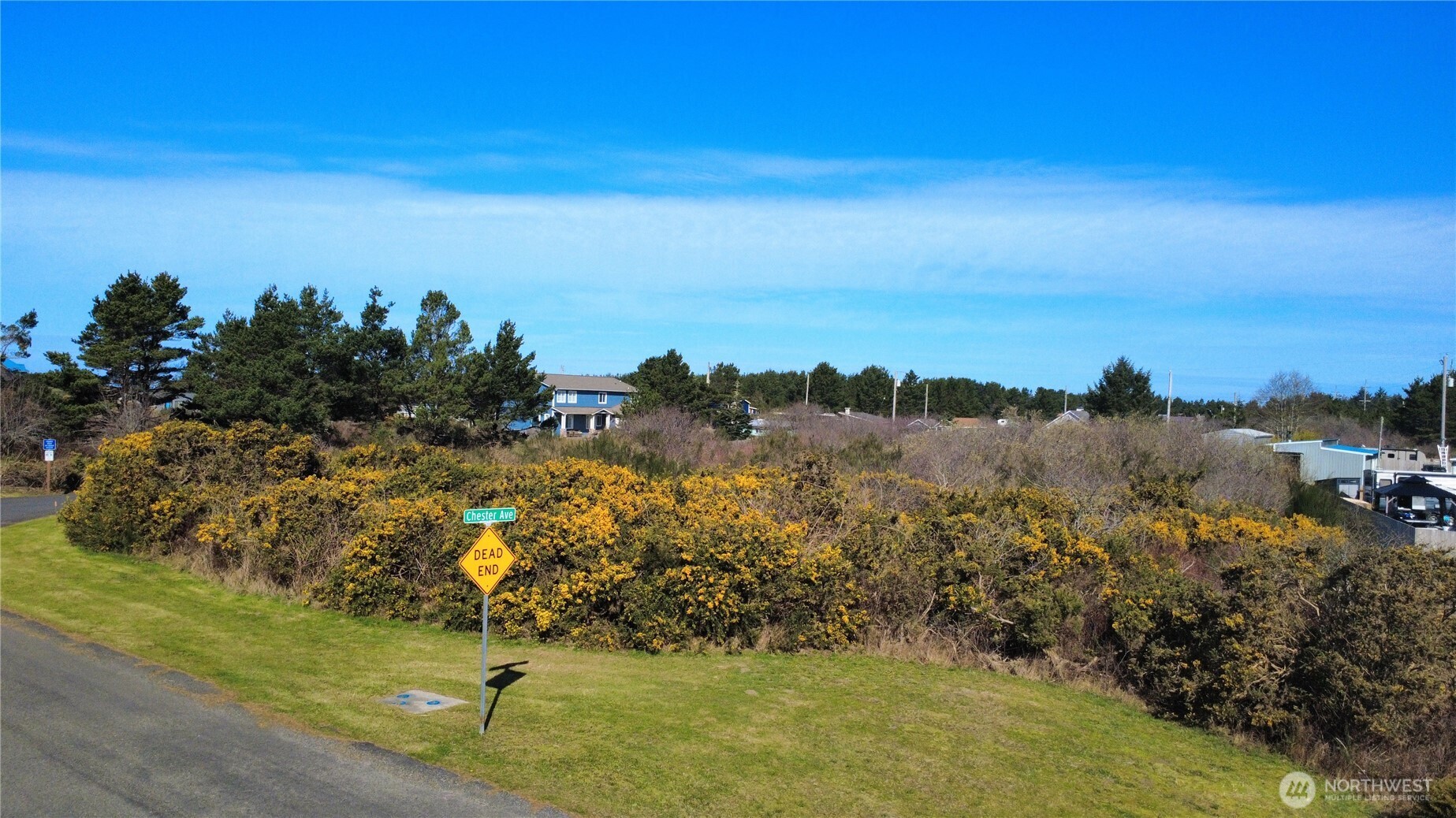 1 Francis Seamore Lane , Grayland, WA 98547