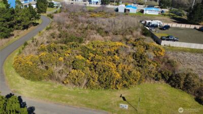 1 Francis Seamore Lane , Grayland, WA 98547 - Photo 5