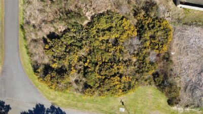 1 Francis Seamore Lane , Grayland, WA 98547 - Photo 7