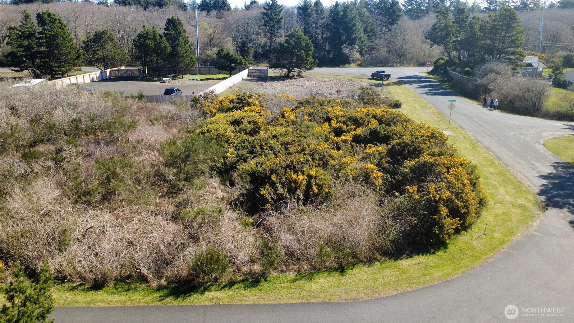 1 Francis Seamore Lane , Grayland, WA 98547