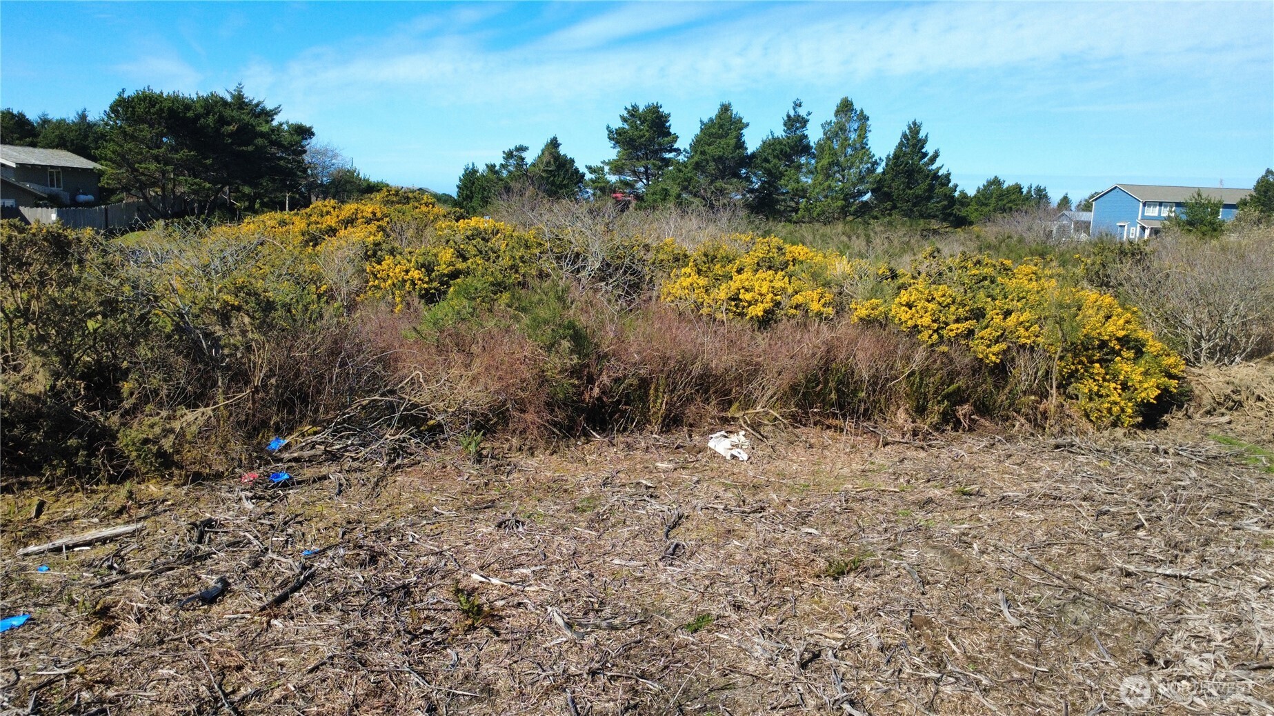 1 Francis Seamore Lane , Grayland, WA 98547