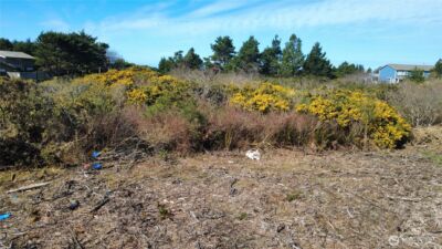 1 Francis Seamore Lane , Grayland, WA 98547 - Photo 10