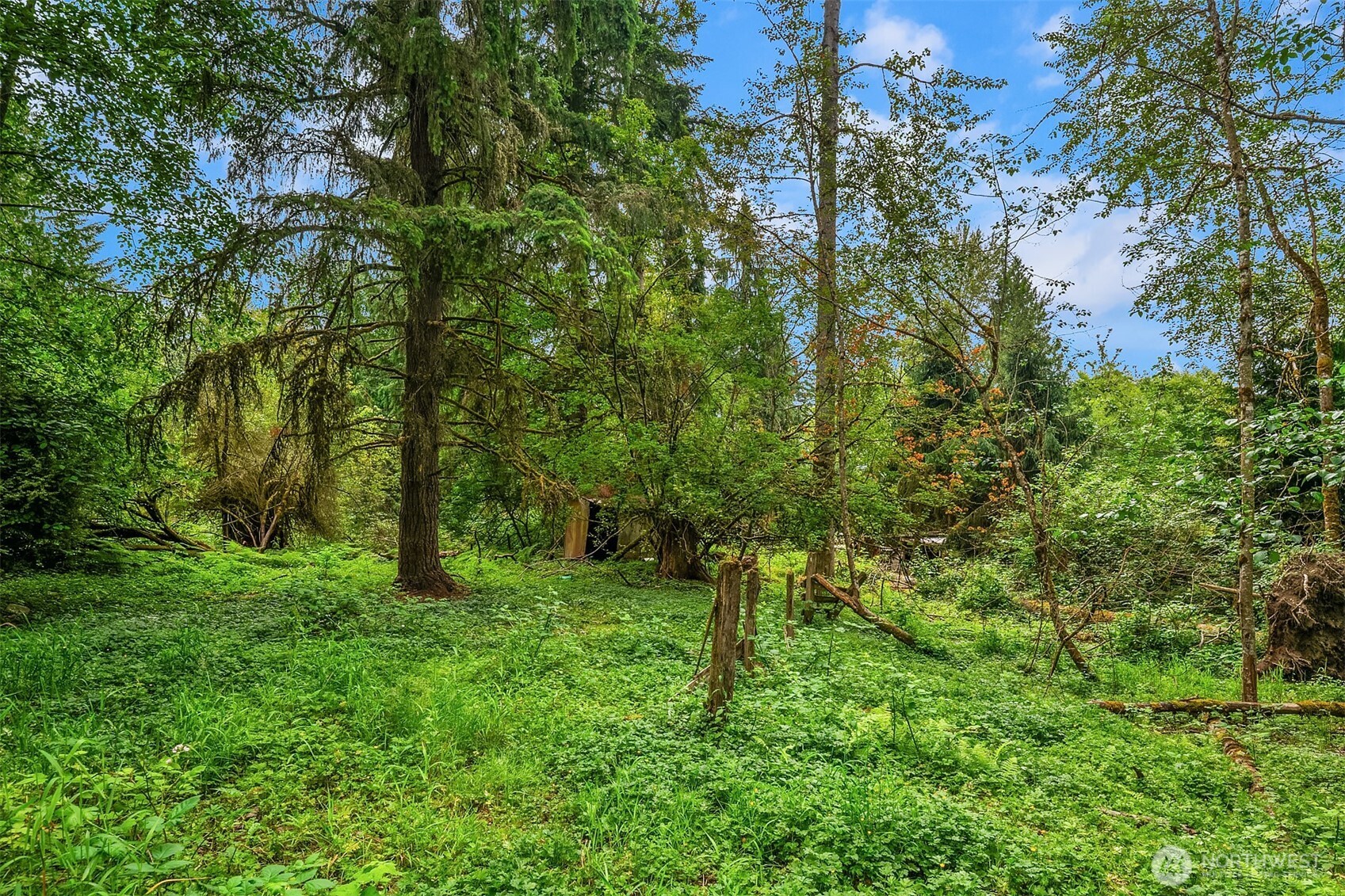 19270 303rd Place NE, Duvall, WA 98019