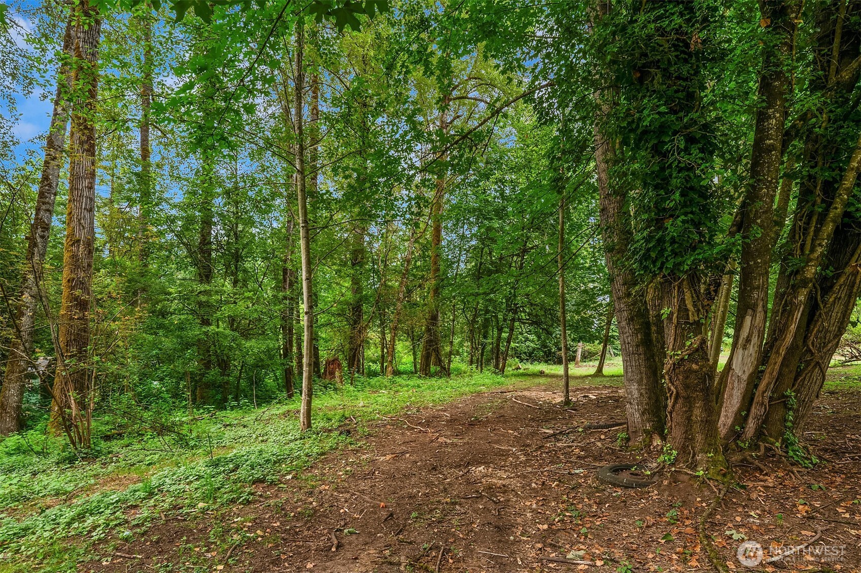 19270 303rd Place NE, Duvall, WA 98019