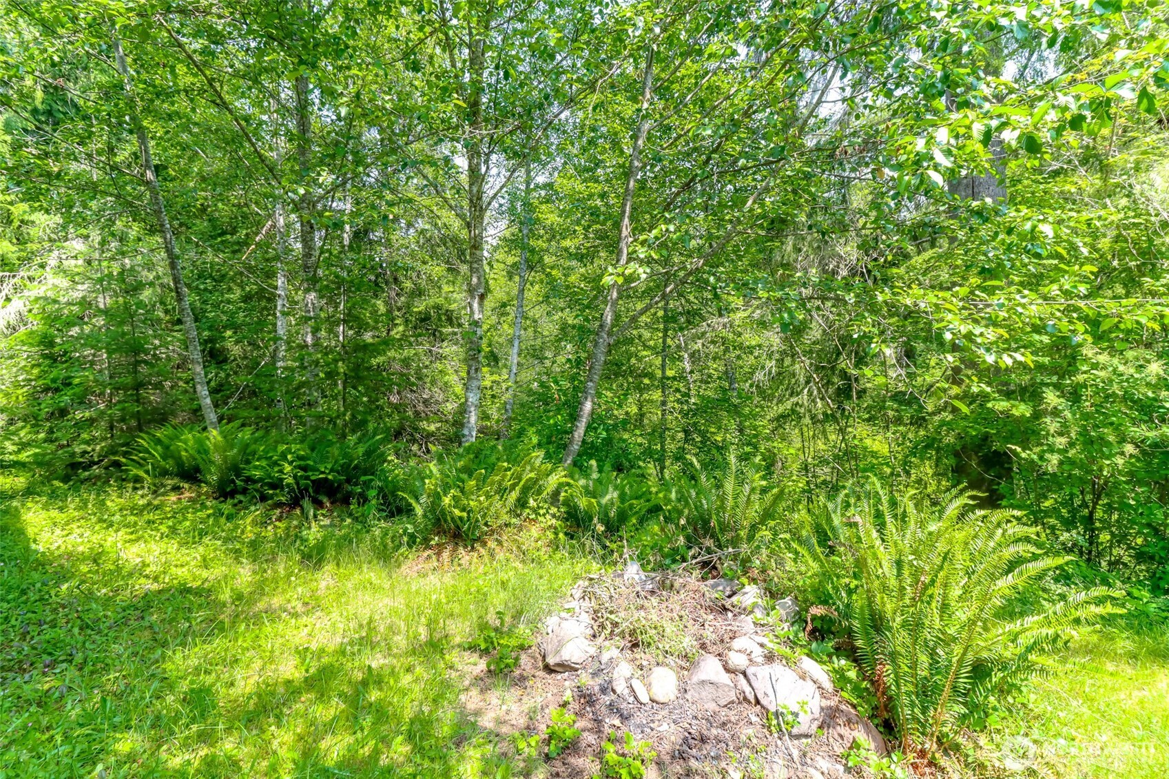 278 Osborn Road , Ashford, WA 98304