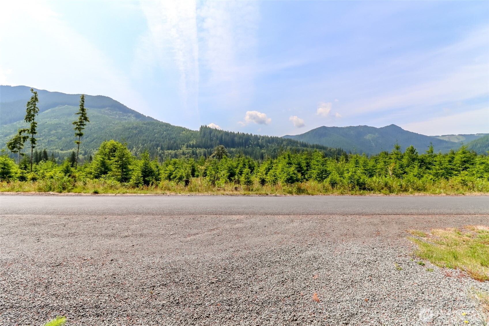 278 Osborn Road , Ashford, WA 98304