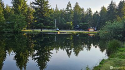 278 Osborn Road , Ashford, WA 98304 - Photo 27