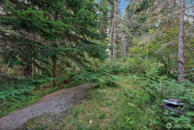 270 Skate Creek Road N, Ashford, WA 98304 - Photo 29