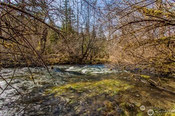 270 Skate Creek Road N, Ashford, WA 98304