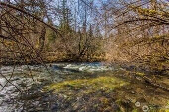 270 Skate Creek Road N, Ashford, WA 98304 - Photo 36