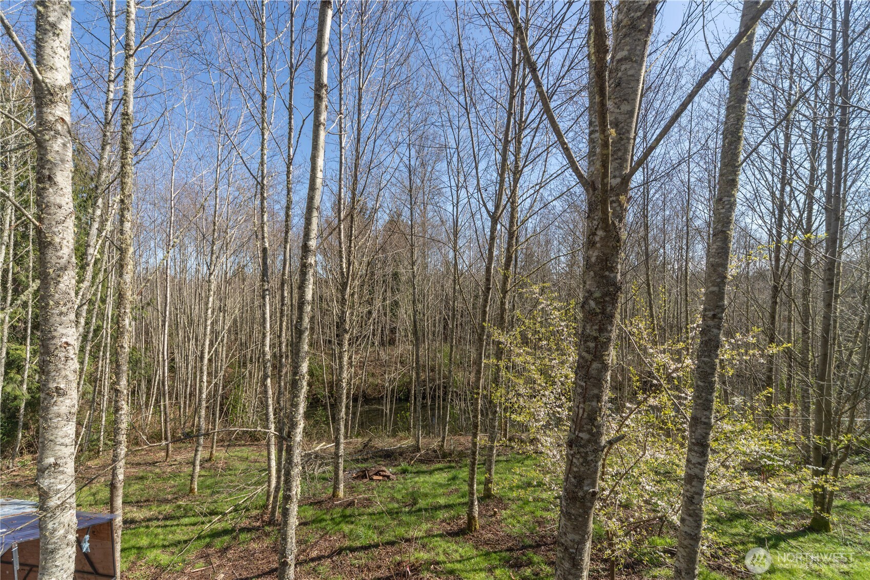 1119 Eaglemount Road , Port Townsend, WA 98368