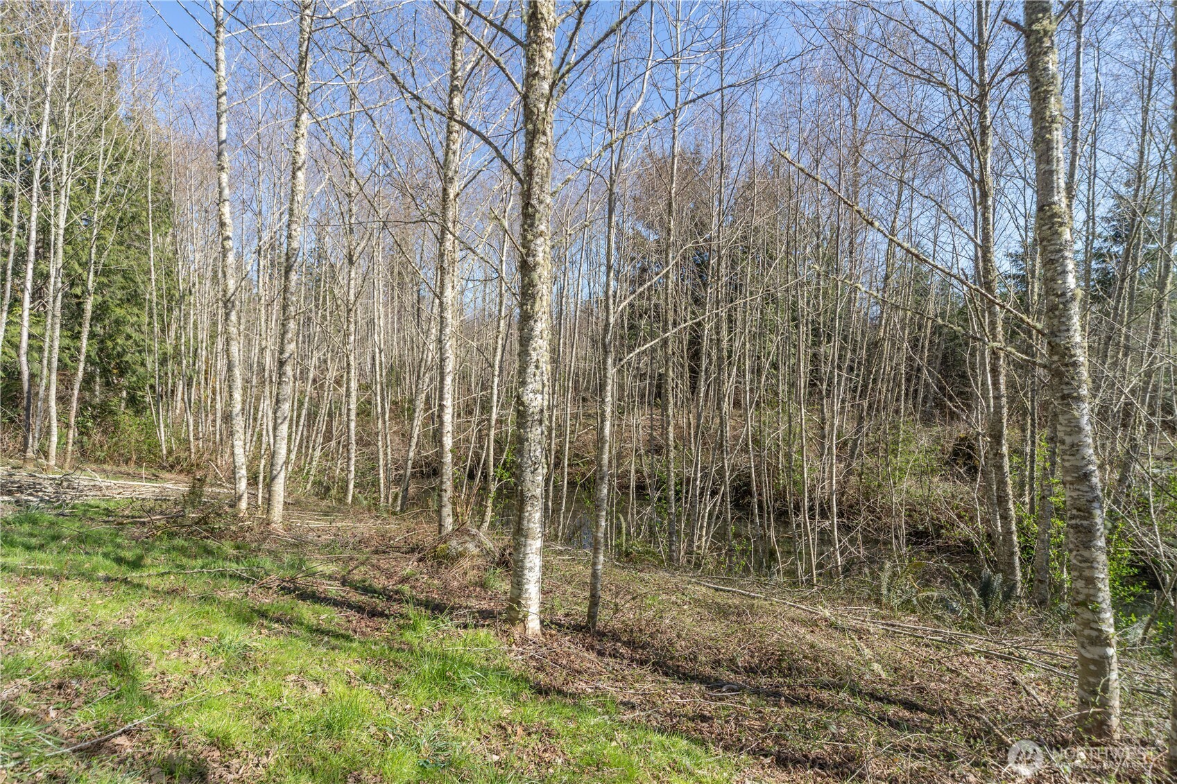 1119 Eaglemount Road , Port Townsend, WA 98368