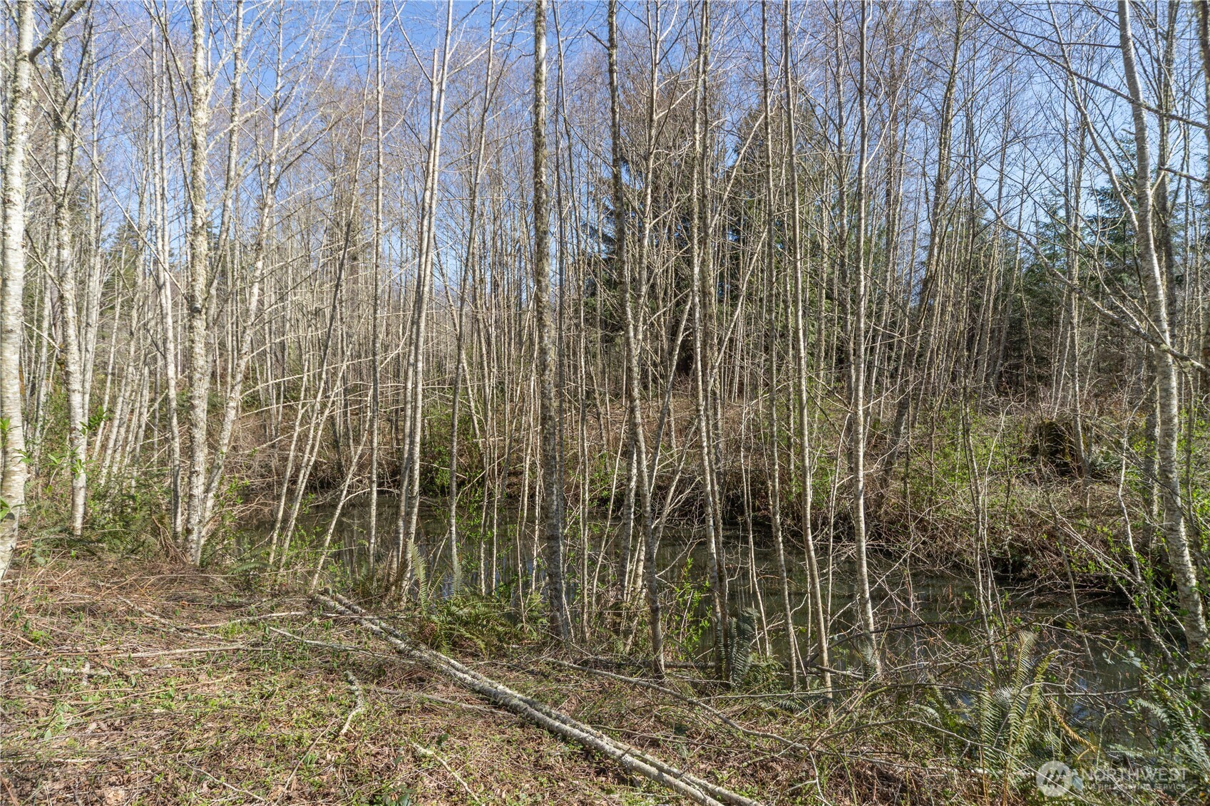 1119 Eaglemount Road , Port Townsend, WA 98368