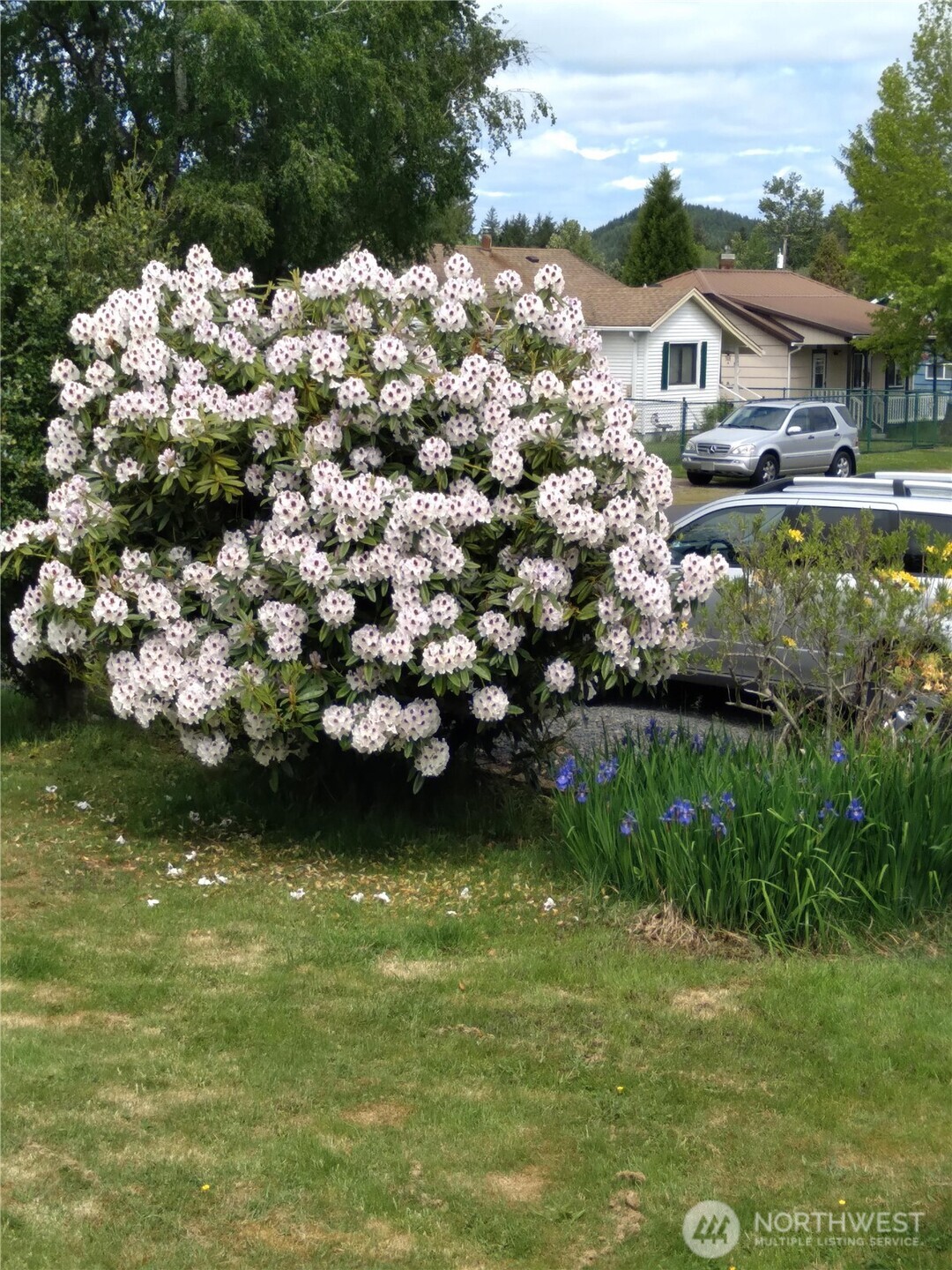 402 Jackson Street , Ryderwood, WA 98581-9712