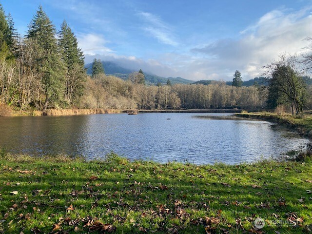 402 Jackson Street , Ryderwood, WA 98581-9712