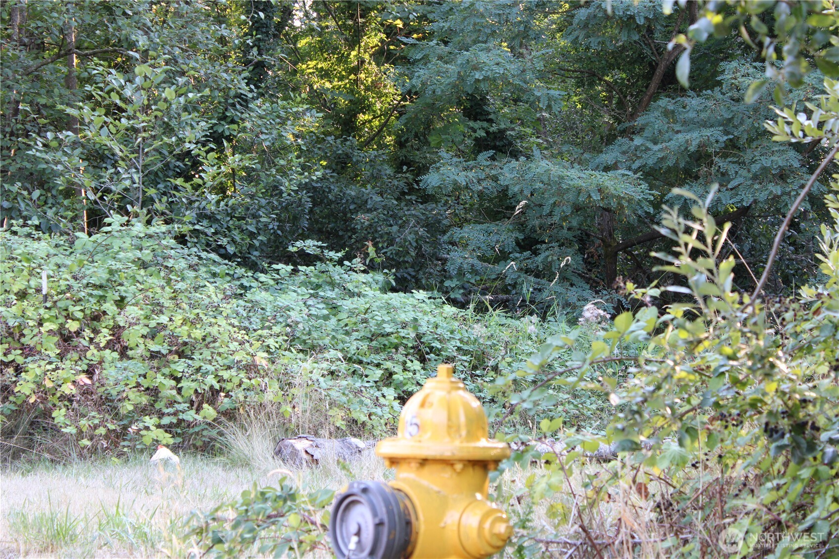 17227 1st Avenue S, Burien, WA 98166