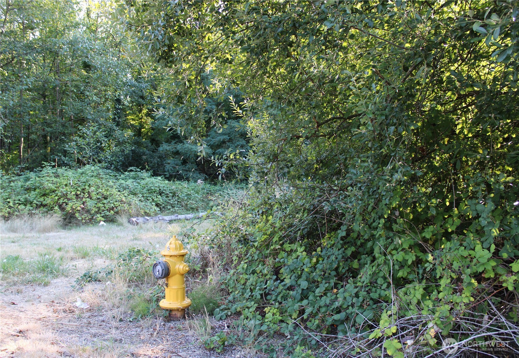 17227 1st Avenue S, Burien, WA 98166