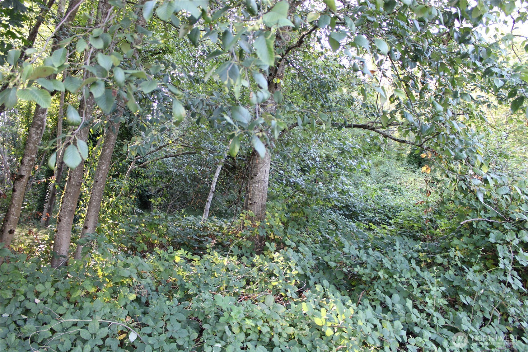 17227 1st Avenue S, Burien, WA 98166