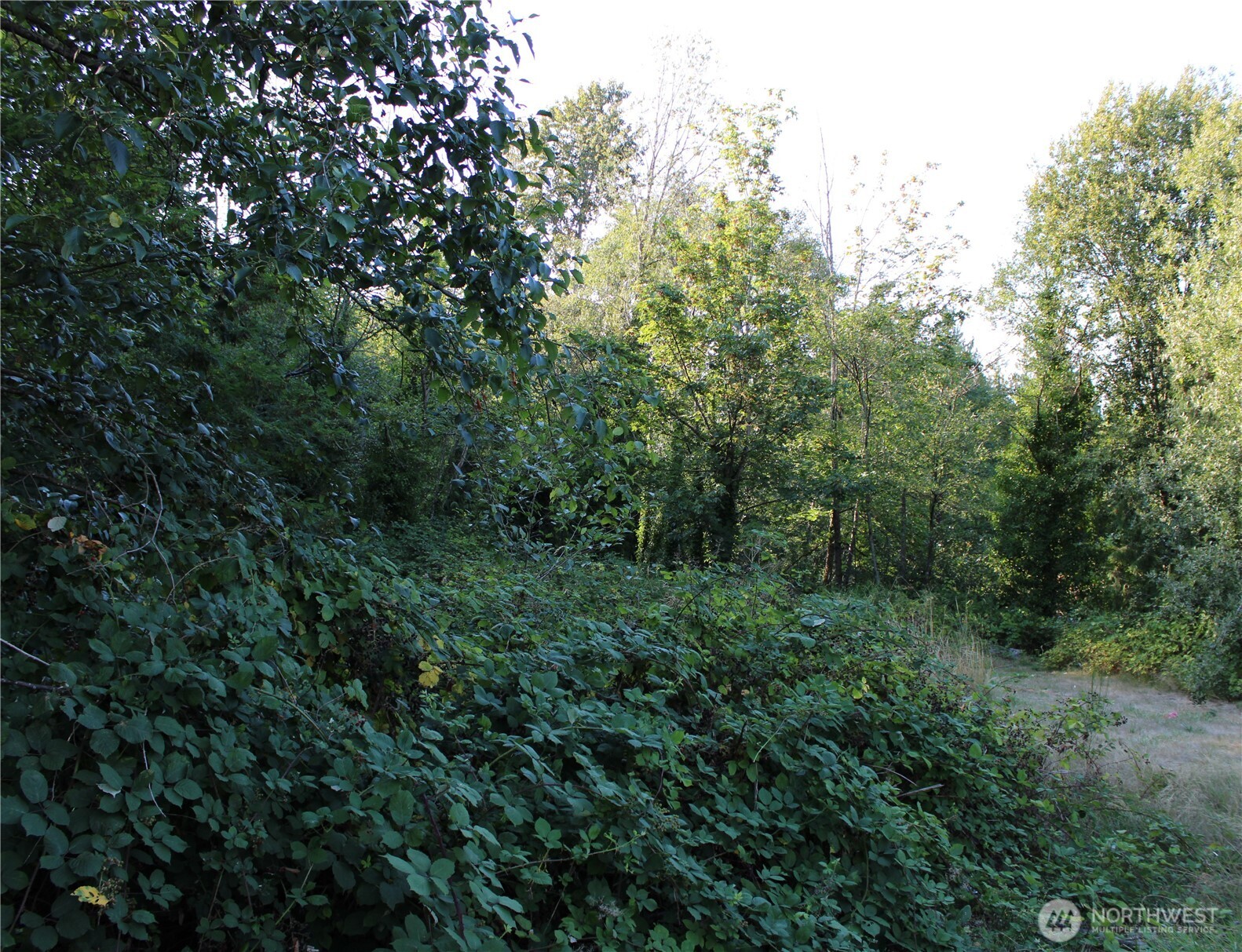 17227 1st Avenue S, Burien, WA 98166