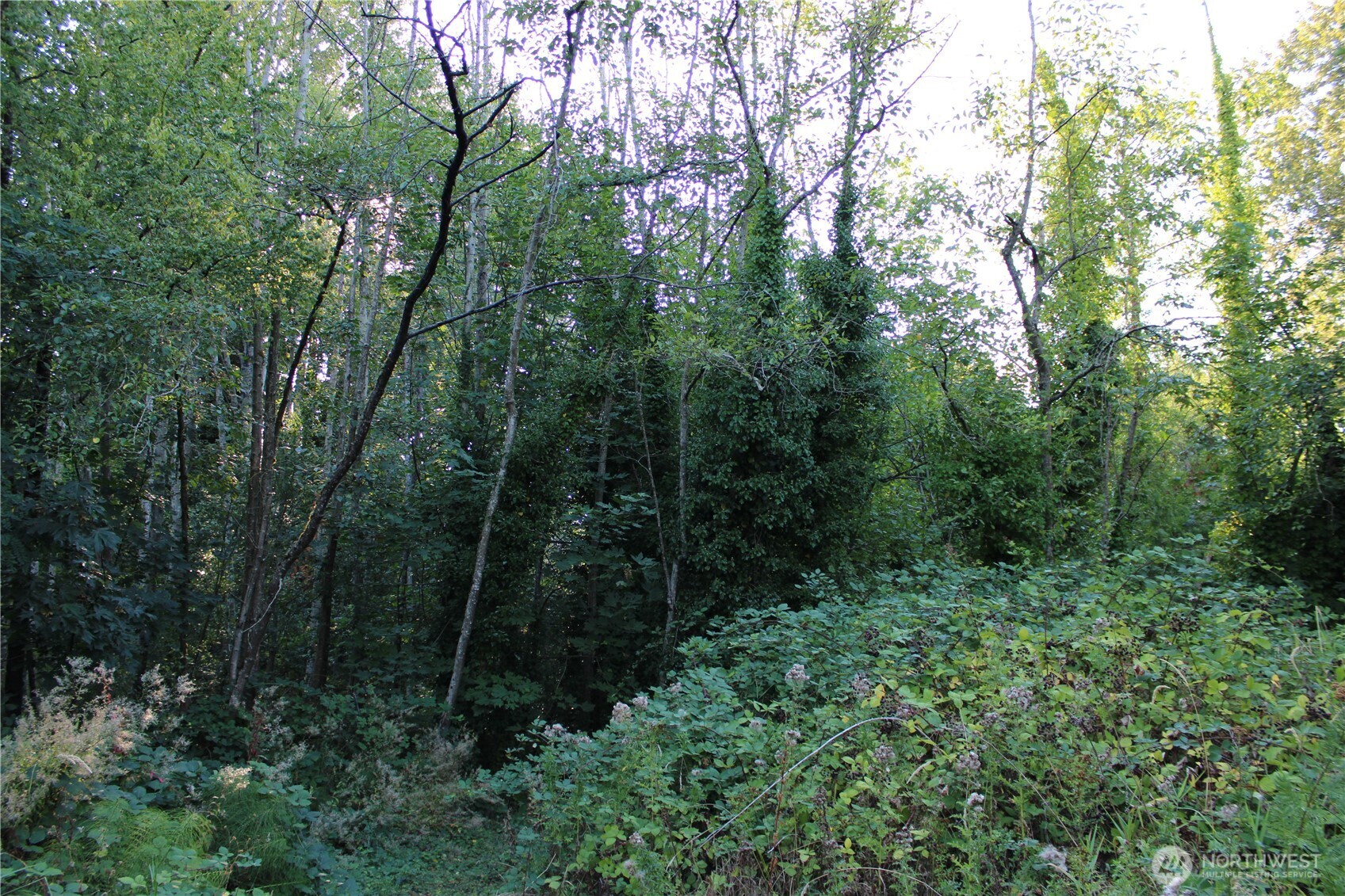 17227 1st Avenue S, Burien, WA 98166