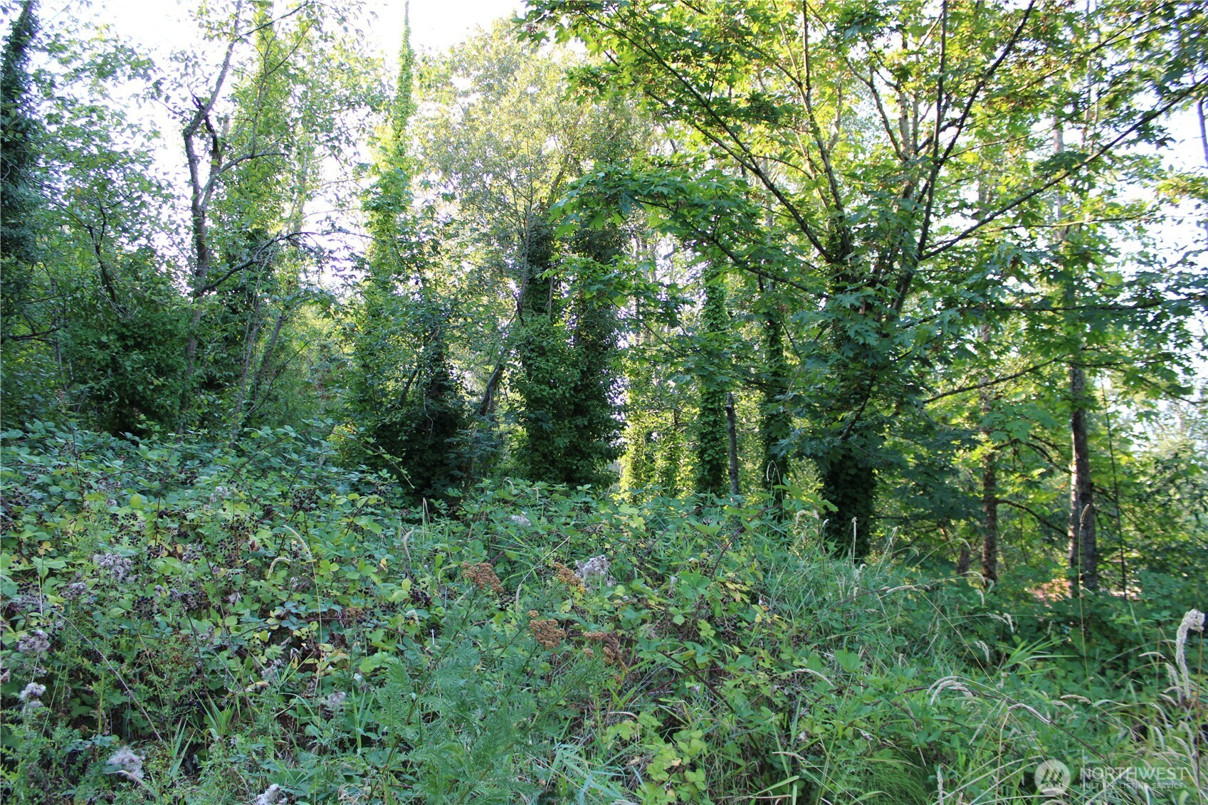 17227 1st Avenue S, Burien, WA 98166