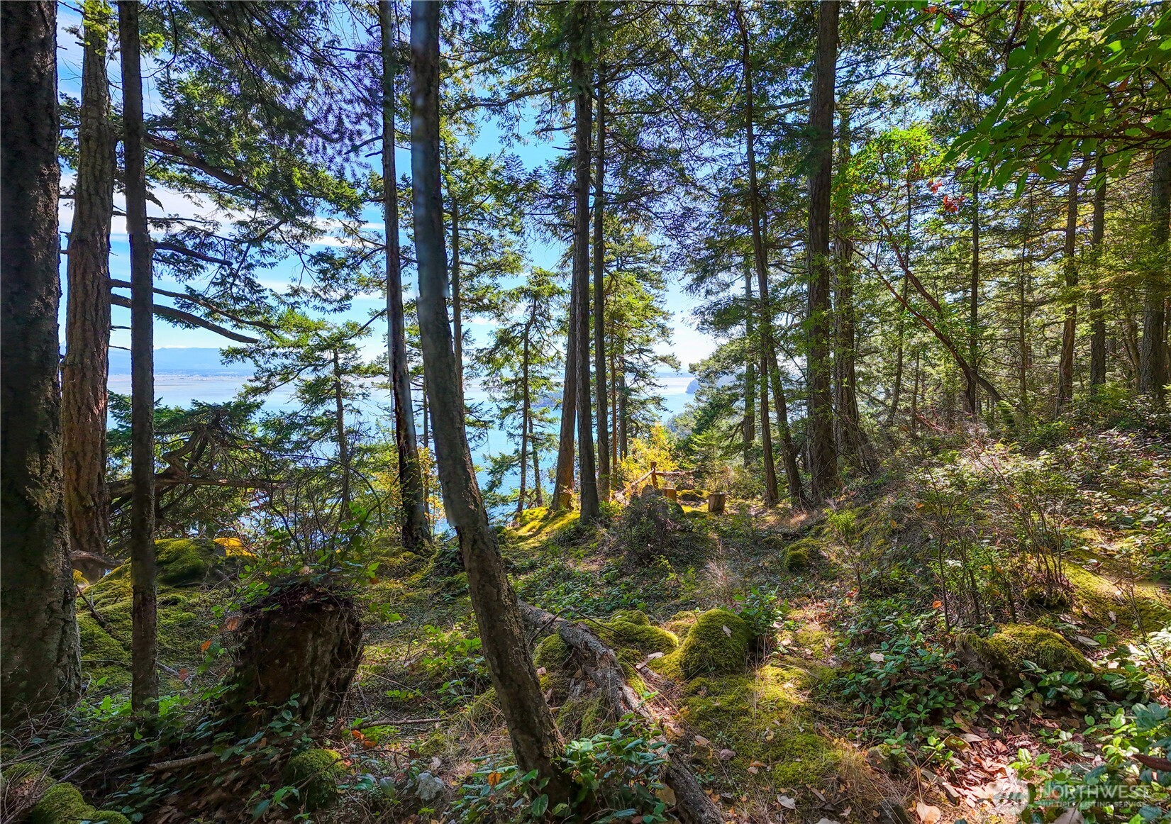 7121 Island View Drive , Anacortes, WA 98221