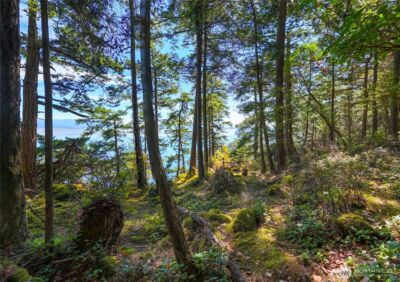 7121 Island View Drive , Anacortes, WA 98221 - Photo 4