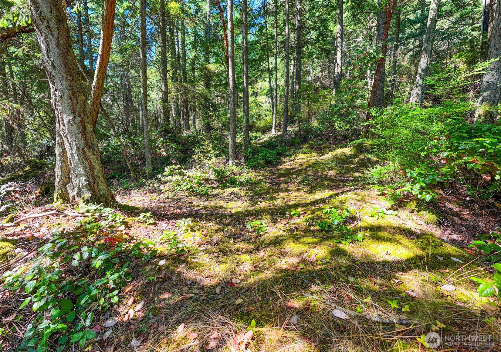 7121 Island View Drive , Anacortes, WA 98221