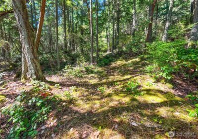 7121 Island View Drive , Anacortes, WA 98221 - Photo 5