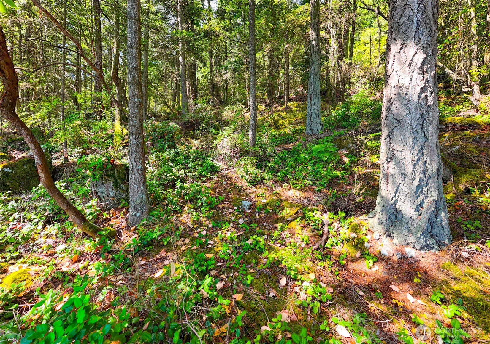 7121 Island View Drive , Anacortes, WA 98221