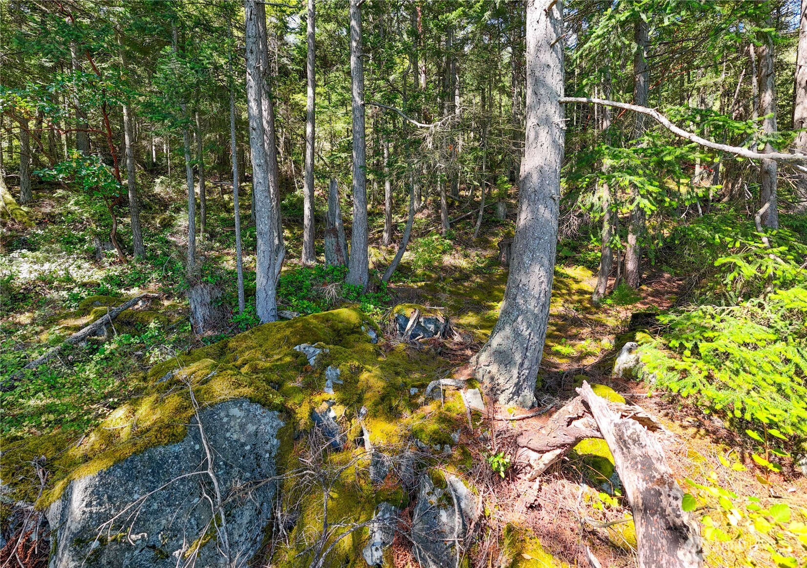 7121 Island View Drive , Anacortes, WA 98221