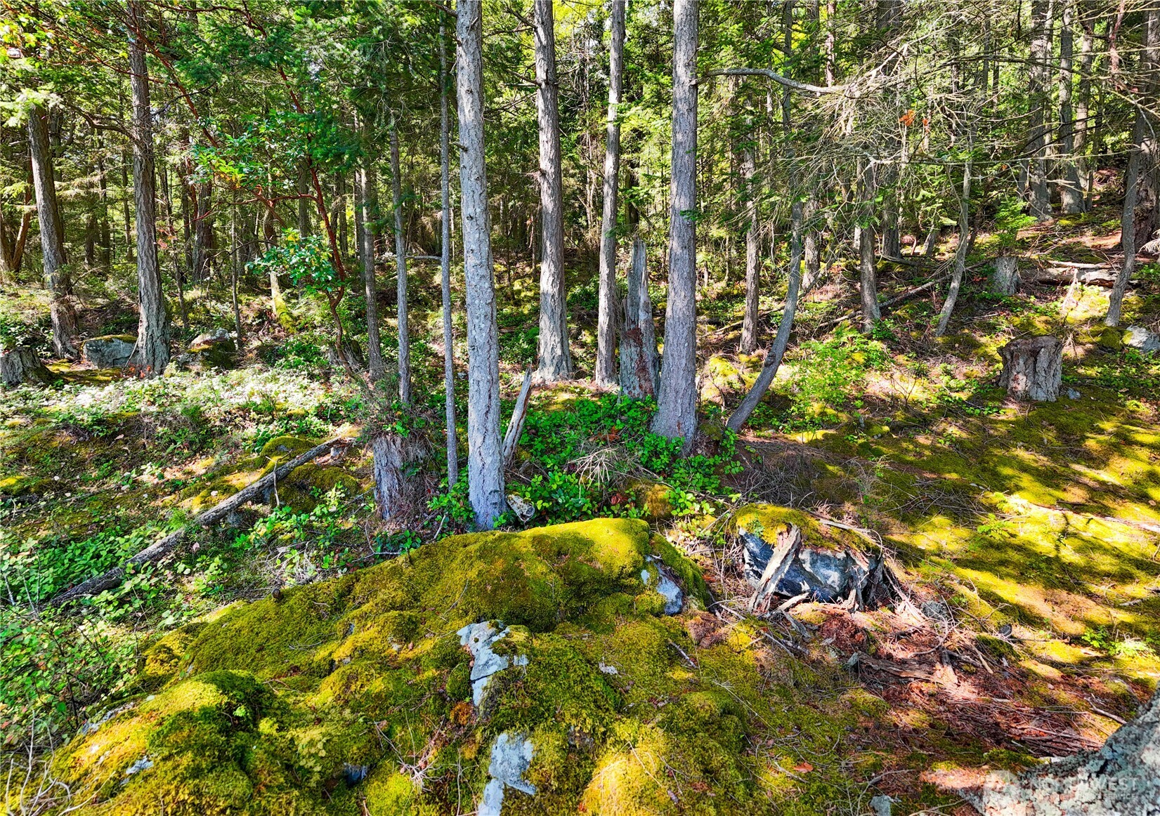 7121 Island View Drive , Anacortes, WA 98221