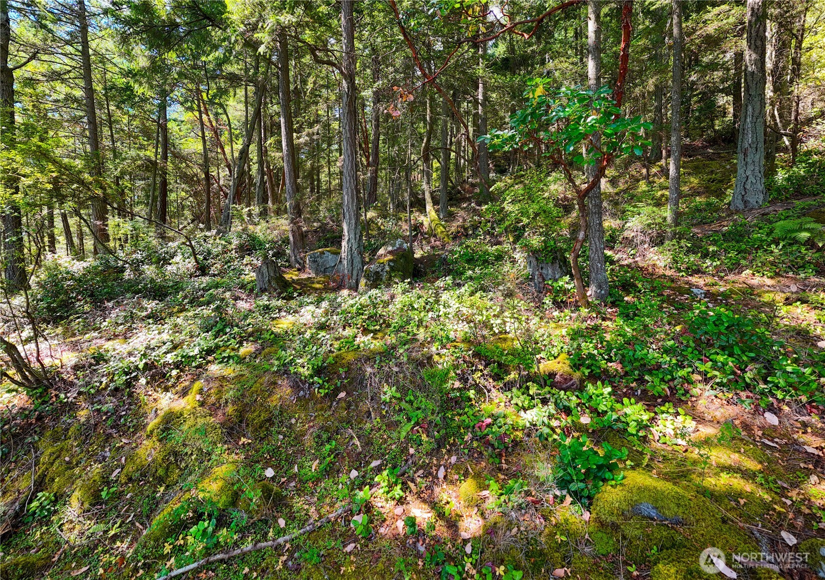 7121 Island View Drive , Anacortes, WA 98221