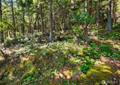 7121 Island View Drive , Anacortes, WA 98221 - Photo 9