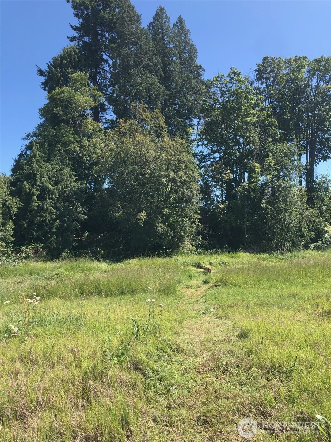 4954 Highland Drive , Blaine, WA 98230