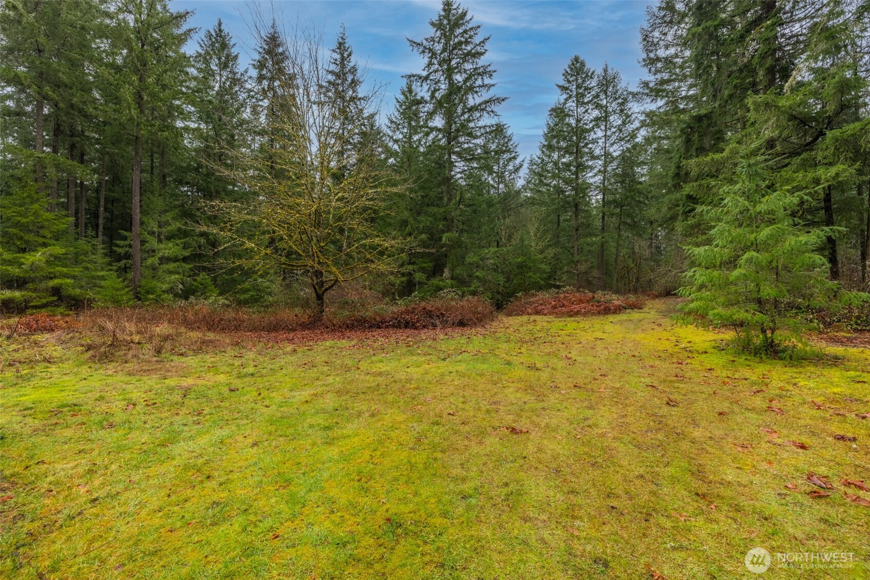 31444 172nd Ave SE , Auburn, WA 98092