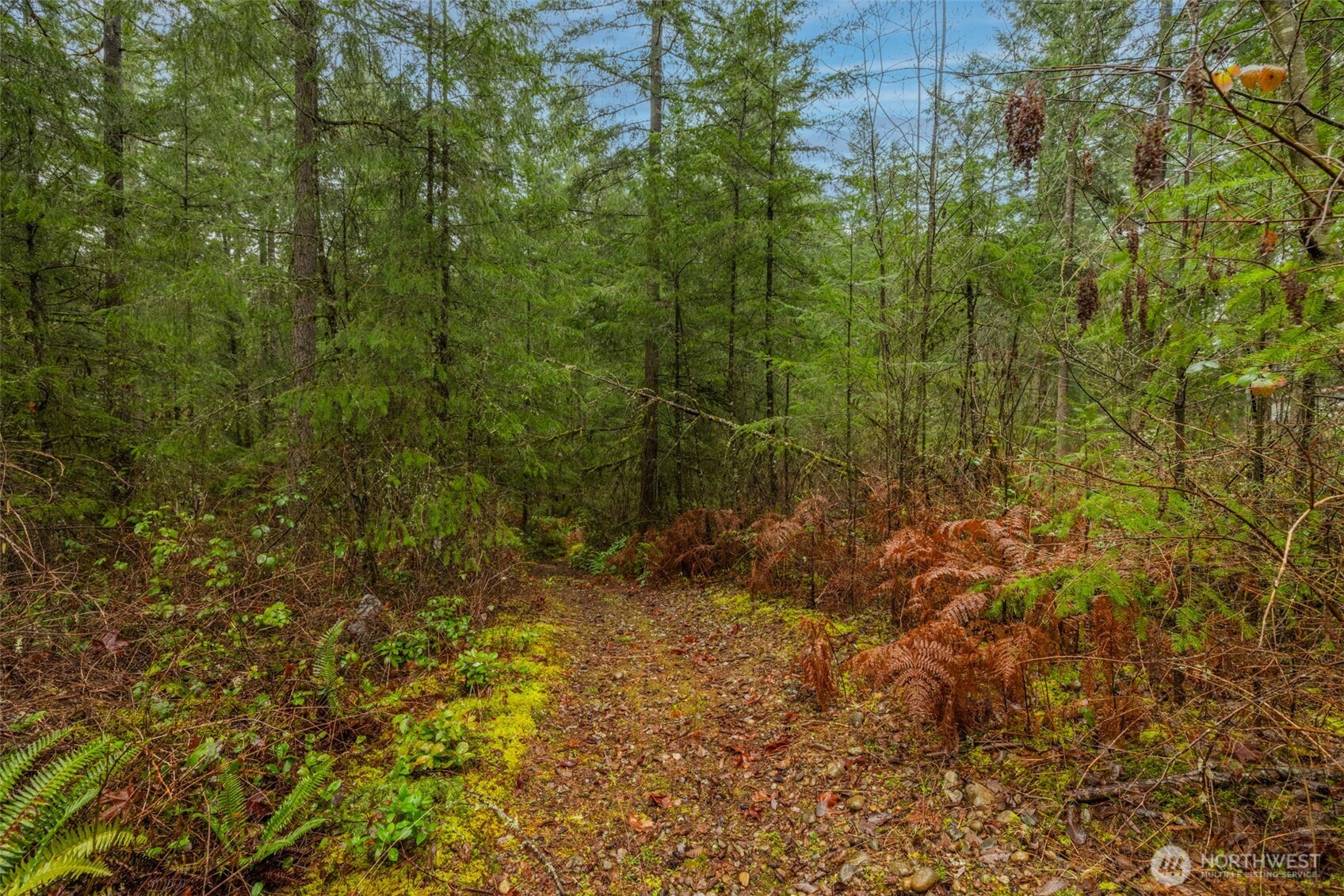 31444 172nd Ave SE , Auburn, WA 98092