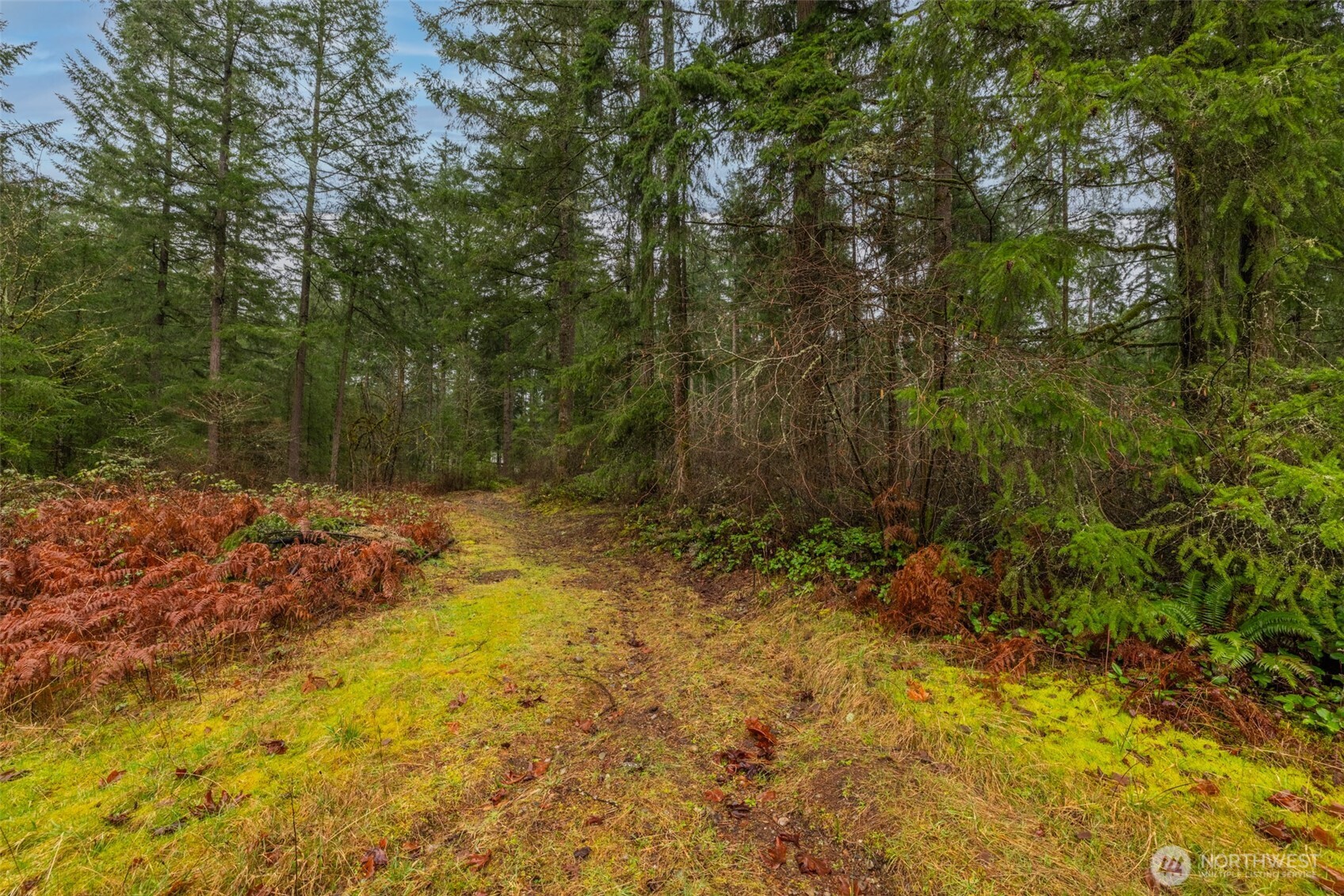 31444 172nd Ave SE , Auburn, WA 98092